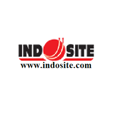 hosting review indosite