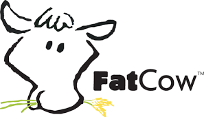review hosting fatcow